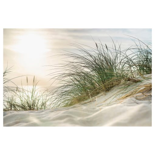 PJÄTTERYD, picture/beach grass, 118x78 cm, 406.187.93