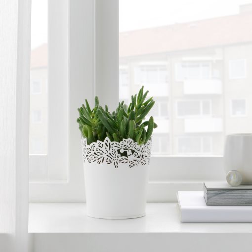 SAMVERKA, plant pot, 503.887.39