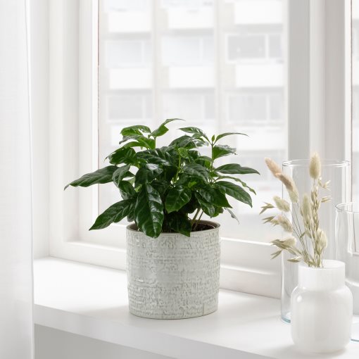 CHIAFRÖN, plant pot in/outdoor, 12 cm, 504.757.60