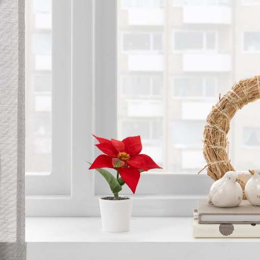 FEJKA, artificial potted plant/in/outdoor/Poinsettia, 6 cm, 505.228.51
