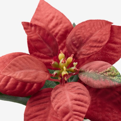 FEJKA, artificial potted plant/in/outdoor/Poinsettia, 6 cm, 505.228.51