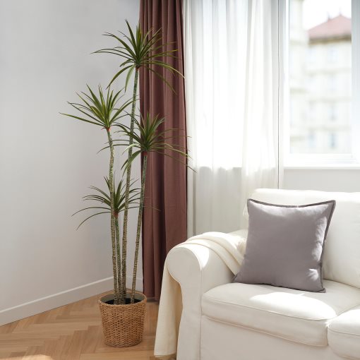 FEJKA, artificial potted plant/in/outdoor/Dracena, 23 cm, 505.486.34