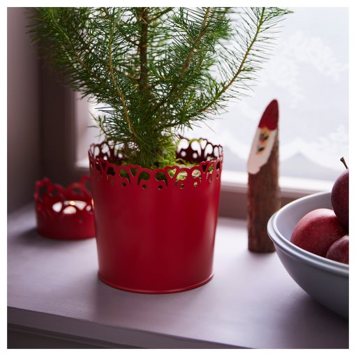 VINTERFINT, plant pot, 12 cm, 505.521.88