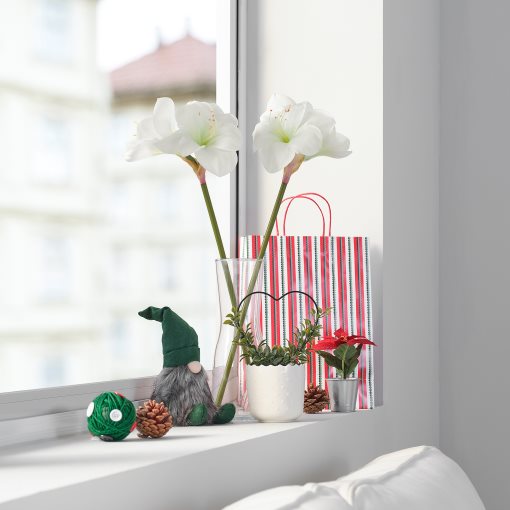 VINTERFINT, artificial flower/in/outdoor/Amaryllis, 60 cm, 505.621.54