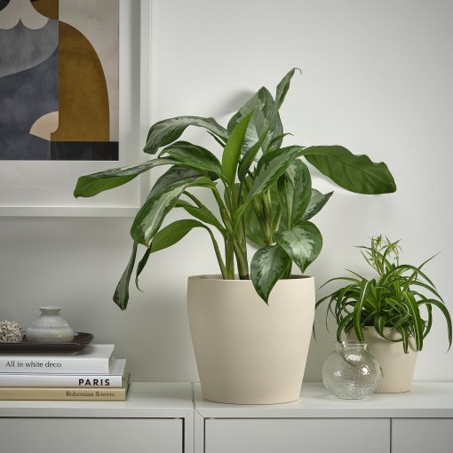 PERSILLADE, plant pot, 19 cm, 506.067.99