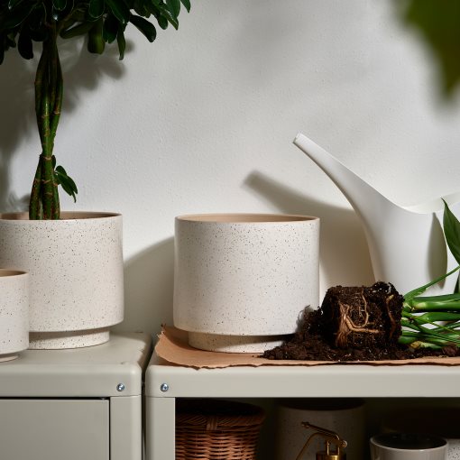 SANDKÖRSBÄR, plant pot in/outdoor, 19 cm, 506.218.27