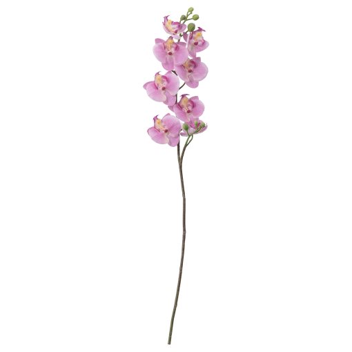 SMYCKA, τεχνητό λουλούδι, Ορχιδέα, 603.357.88
