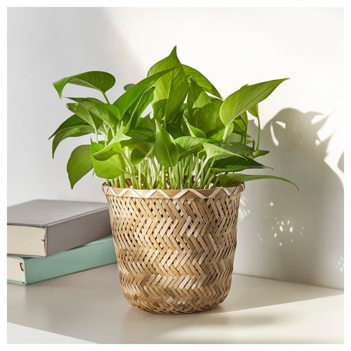 KLYNNON, plant pot handmade , 15 cm, 605.164.06