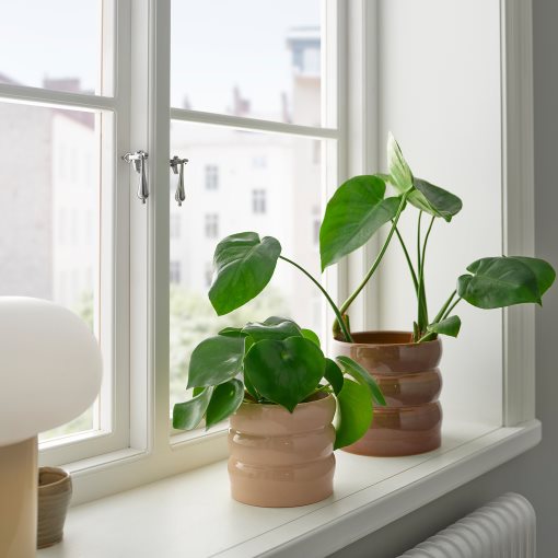 HASSELBUKETT, plant pot in/outdoor, 12 cm, 605.959.17
