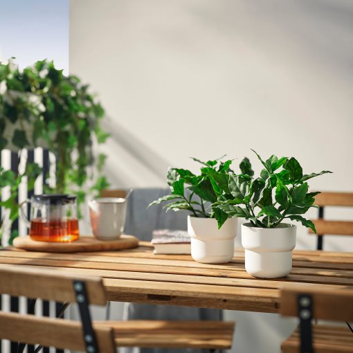 FEJKA, artificial potted plant in/outdoor/sweet bay, 9 cm, 606.107.48