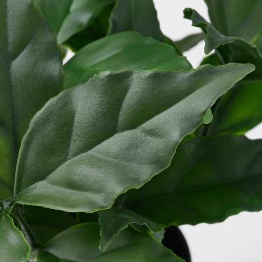 FEJKA, artificial potted plant in/outdoor/sweet bay, 9 cm, 606.107.48