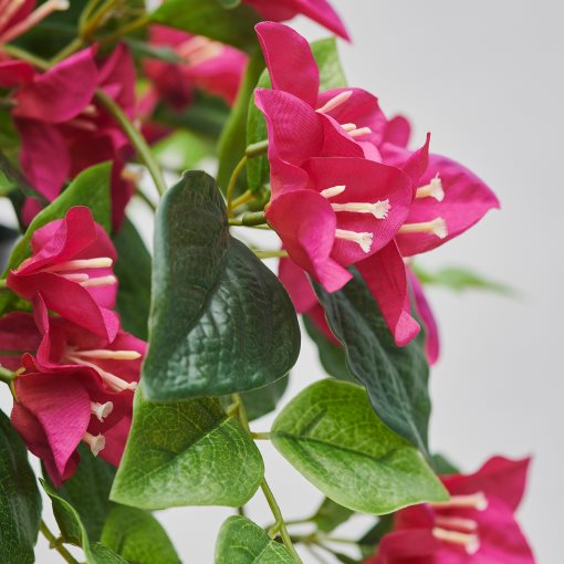 FEJKA, artificial potted plant in/outdoor/Bouganvilla, 12 cm, 606.177.64