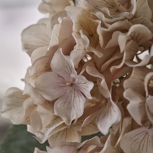 SMYCKA, artificial flower in/outdoor/hydrangea, 75 cm, 606.373.33