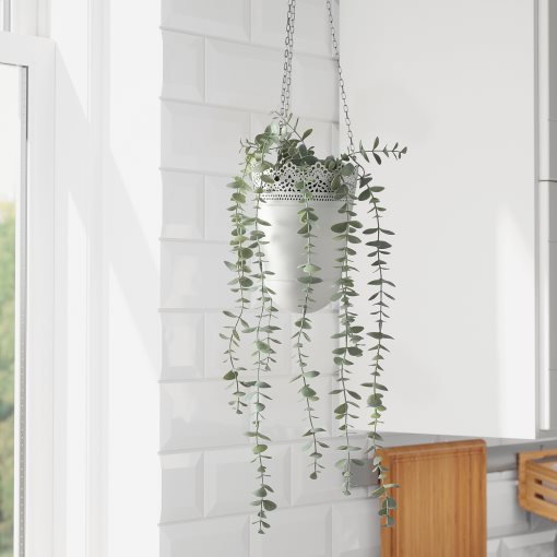 FEJKA, artificial potted plant  in/outdoor hanging/eucalyptus, 9 cm, 704.668.11