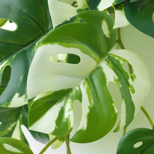 FEJKA, artificial plant with wall holder/in/outdoor, 705.486.28