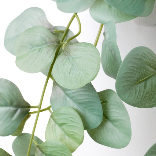 FEJKA, artificial plant with wall holder/in/outdoor, 705.486.28