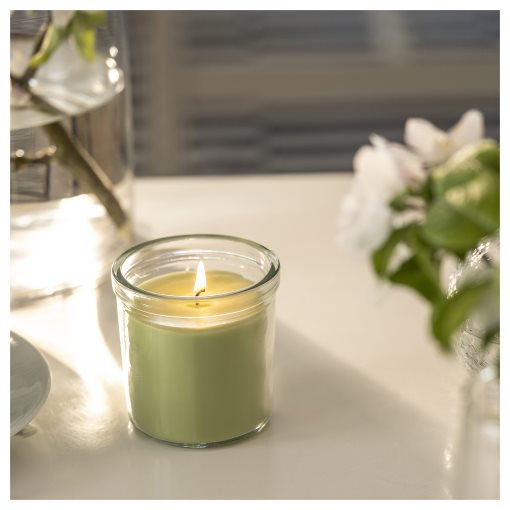 LOVSKOGSLUND, scented candle in glass/apple, 20 hr, 705.820.52