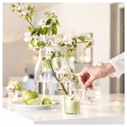 LOVSKOGSLUND, scented candle in glass/apple, 20 hr, 705.820.52