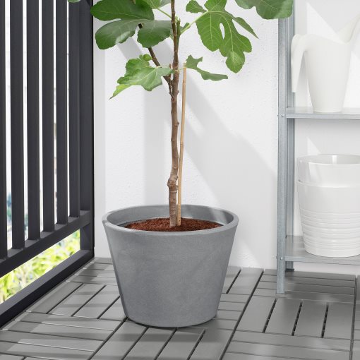 CITRUSKRYDDA, plant pot in/outdoor, 35 cm, 805.050.44