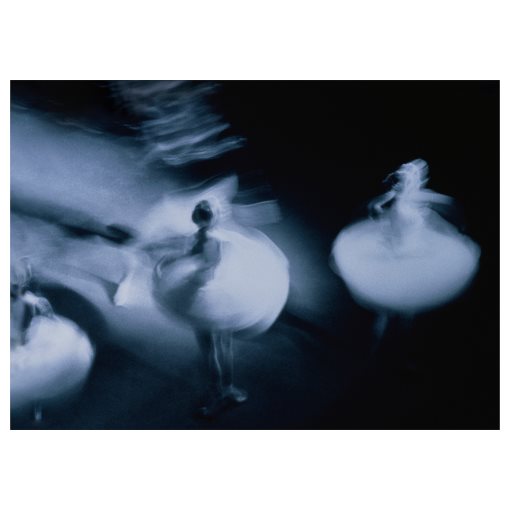 PJÄTTERYD, picture/Swirling, 70x50 cm, 805.452.76