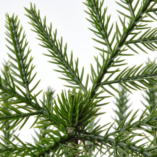 FEJKA, artificial potted plant/Norfolk island pine/In/outdoor, 9 cm, 905.230.66