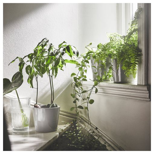 SMÄLLSPIREA, βάζο/γυαλί/με σχέδια, 17 cm, 905.421.78
