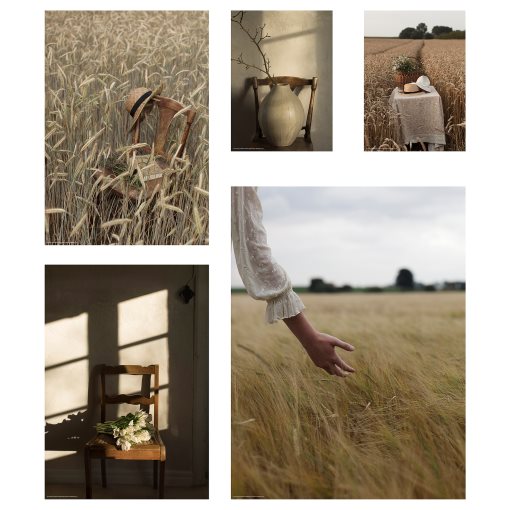 RODALM, poster/golden moments, set of 5, 905.788.98