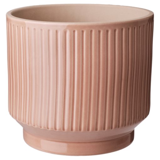 HONUNGSPALM, plant pot in/outdoor, 15 cm, 905.957.94