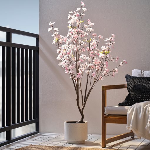 FEJKA, artificial potted plant in/outdoor cherry-blossoms, 19 cm, 906.133.35