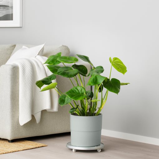 NYPON, plant pot, in/outdoor, 003.956.24