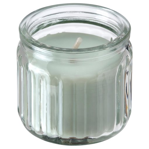 HÖKGÖK, scented candle in glass/apple, 12 hr, 006.087.34