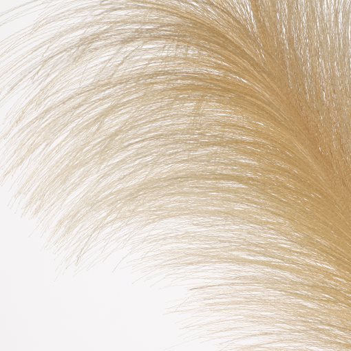 SMYCKA, artificial flower/Pampas grass, 86 cm, 105.303.58