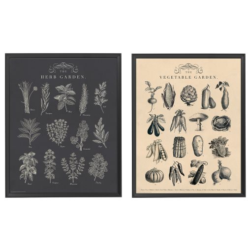 KNOPPÄNG, frame with poster 2 pack, garden, 404.657.71