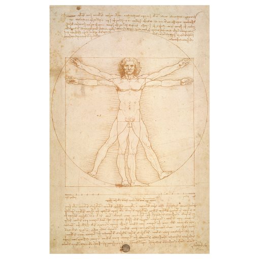 BJÖRKSTA, picture The Vitruvian Man, 78x118 cm, 404.799.14