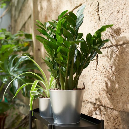 ÅKERBÄR, plant pot/in/outdoor, 15 cm, 605.371.59