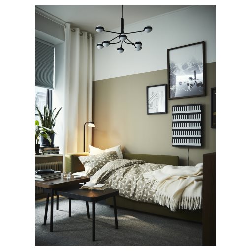 SKÖNABÄCK, 2-seat sofa-bed, 605.825.47