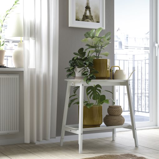 HONUNGSPALM, plant pot in/outdoor, 19 cm, 605.957.95