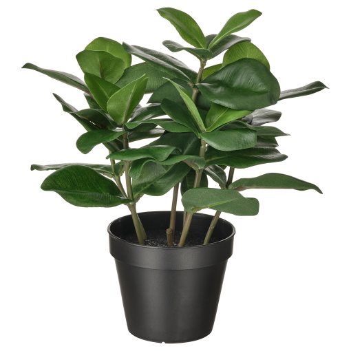 FEJKA, artificial potted plant in/outdoor, Clusia 12 cm, 704.933.48