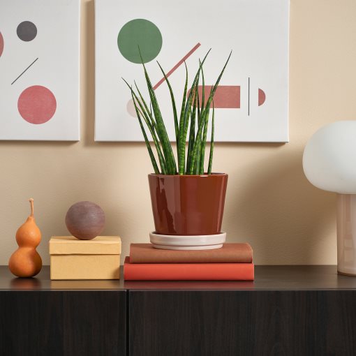 KLOTLÖNN, plant pot with saucer in/outdoor, 12 cm, 705.982.65