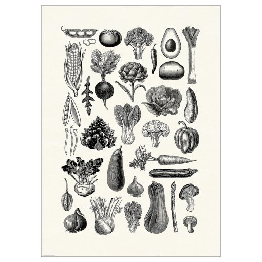BILD, poster/various vegetables, 50x70 cm, 706.019.94
