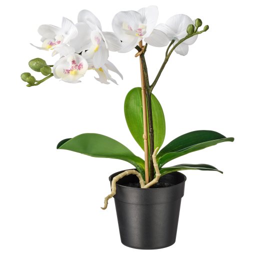 FEJKA, artificial potted plant, Orchid, 002.859.08