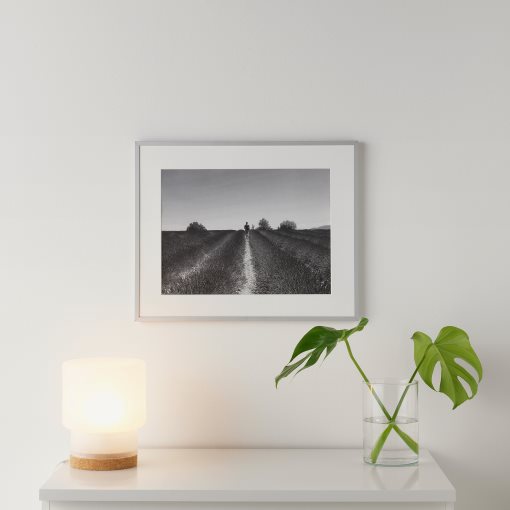LOMVIKEN, frame, 40x50 cm, 103.143.16
