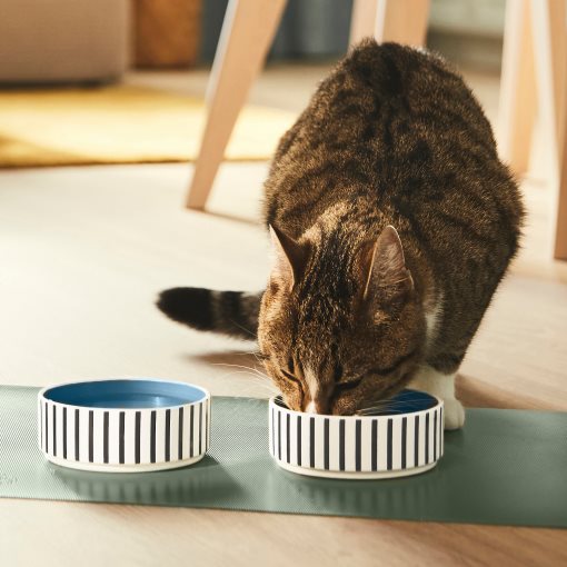 UTSADD, pet bowl, 11 cm, 105.692.04