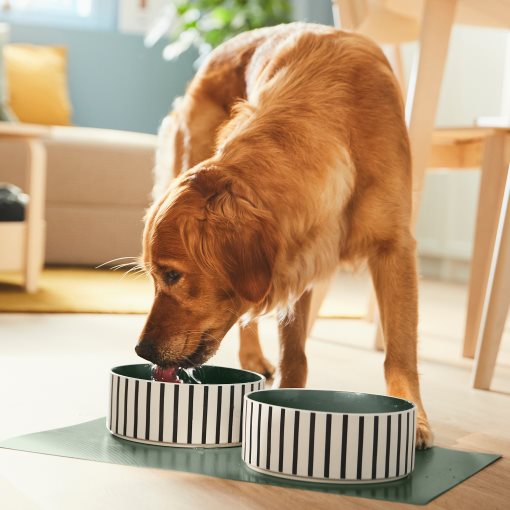UTSADD, pet bowl, 19 cm, 305.692.03