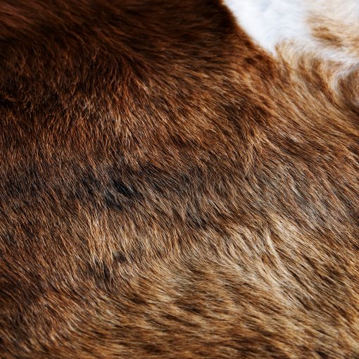 KOLDBY, cow hide, 402.229.33