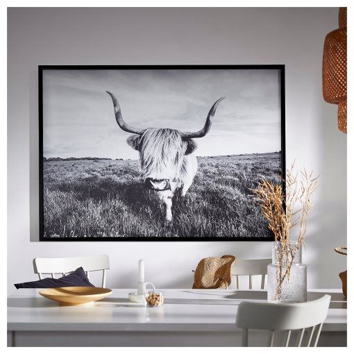 BJÖRKSTA, picture with frame/curious cow, 140x100 cm, 495.089.12