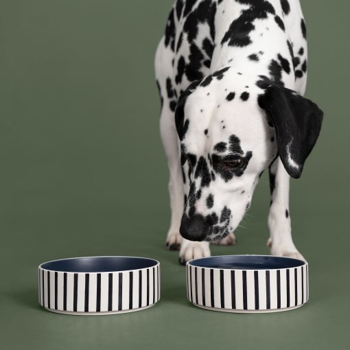 UTSADD, pet bowl, 15 cm, 505.692.02