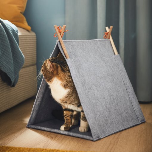 UTSADD, cat house, 505.708.80