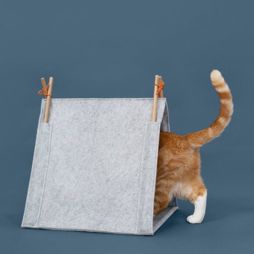 UTSADD, cat house, 505.708.80