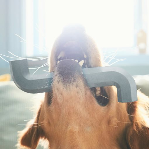 UTSADD, παιχνίδι σκύλου, 605.692.11